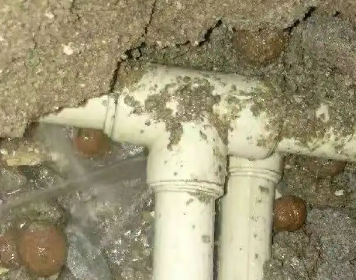 织金测漏水多少钱