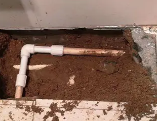 织金测漏水哪家好