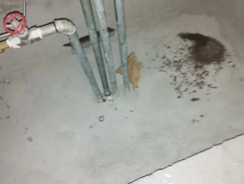 织金卫生间测漏水价格明细