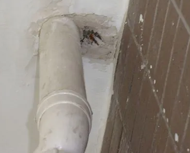 织金漏水检测哪家好